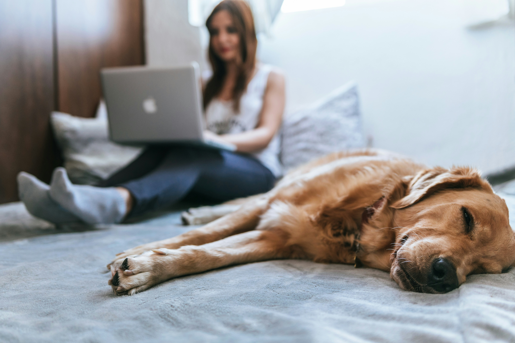 Femeie care lucrează pe laptop acasă cu câinele lângă ea — ilustrație pentru terapia online